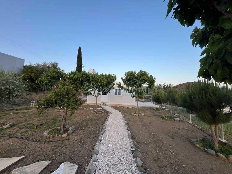 Agricultural land 576 m²: https://www.bazaraki.com/adv/5797553_agricultural-land-576-m2 (www.bazaraki.com)