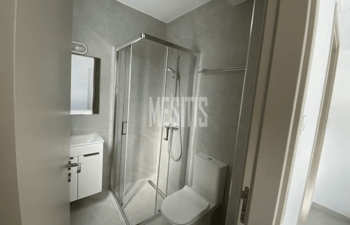 Apartment/Flat For Rent, Lefkosia, Lakatameia: https://incyprusproperty.com/property/mesitis/apartment-flat-for-rent-lefkosia-lakatameia-3/ (incyprusproperty.com)