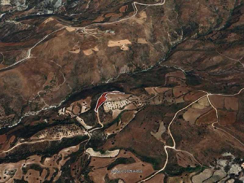 Agricultural land 5017 m²: https://www.bazaraki.com/adv/5796528_agricultural-land-5017-m2 (www.bazaraki.com)