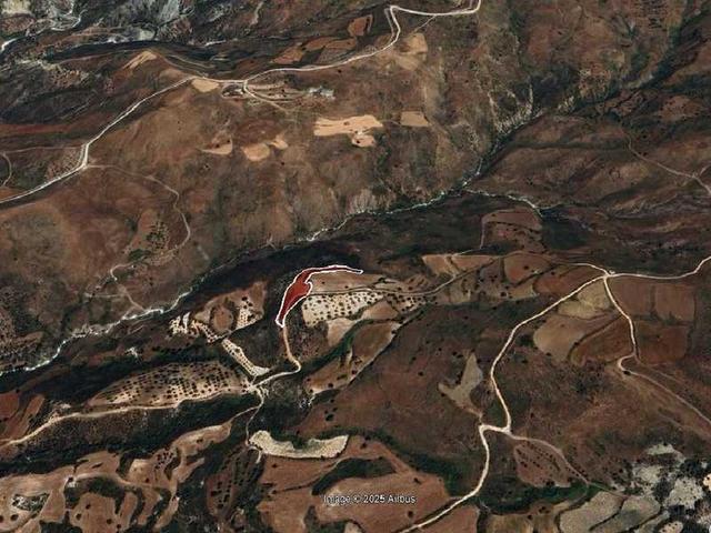 Agricultural land 5017 m²: https://www.bazaraki.com/adv/5796528_agricultural-land-5017-m2 (www.bazaraki.com)