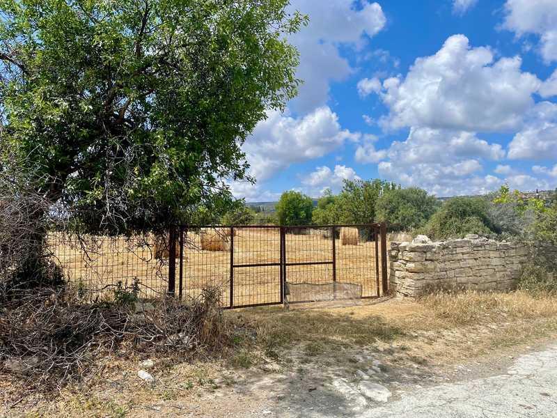 Agricultural land 10703 m²: https://www.bazaraki.com/adv/5786923_agricultural-land-10703-m2 (www.bazaraki.com)