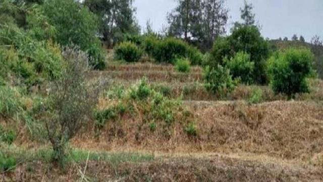 Residential land 3494 m²: https://www.bazaraki.com/adv/5792221_residential-land-3494-m2 (www.bazaraki.com)