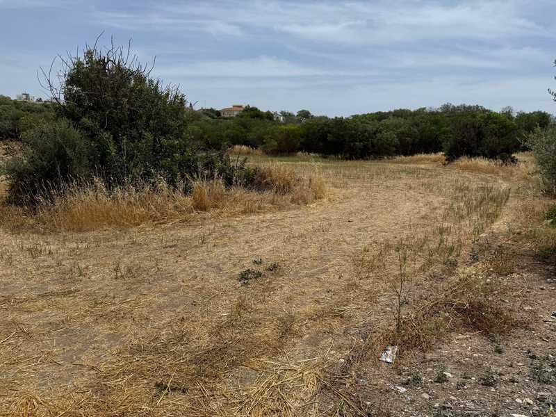 Residential land 2669 m²: https://www.bazaraki.com/adv/5796999_residential-land-2669-m2 (www.bazaraki.com)