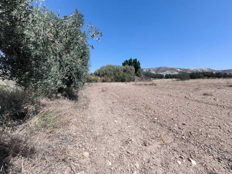 Agricultural land 12000 m²: https://www.bazaraki.com/adv/5795465_agricultural-land-12000-m2 (www.bazaraki.com)