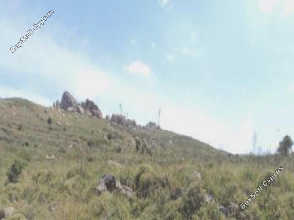 5,686 SQM Agricultural Land for sale in Ineia, Paphos: https://www.buysellcyprus.com/property-for-sale/paphos/ineia/land-for-sale-ineia-paphos-1800859.html (www.buysellcyprus.com)