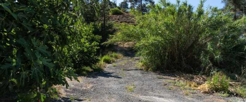 Residential land 12637 m²: https://www.bazaraki.com/adv/5792249_residential-land-12637-m2 (www.bazaraki.com)