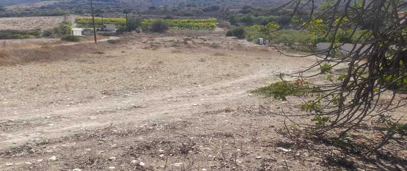 Agricultural land 3218 m²: https://www.bazaraki.com/adv/5795462_agricultural-land-3218-m2 (www.bazaraki.com)
