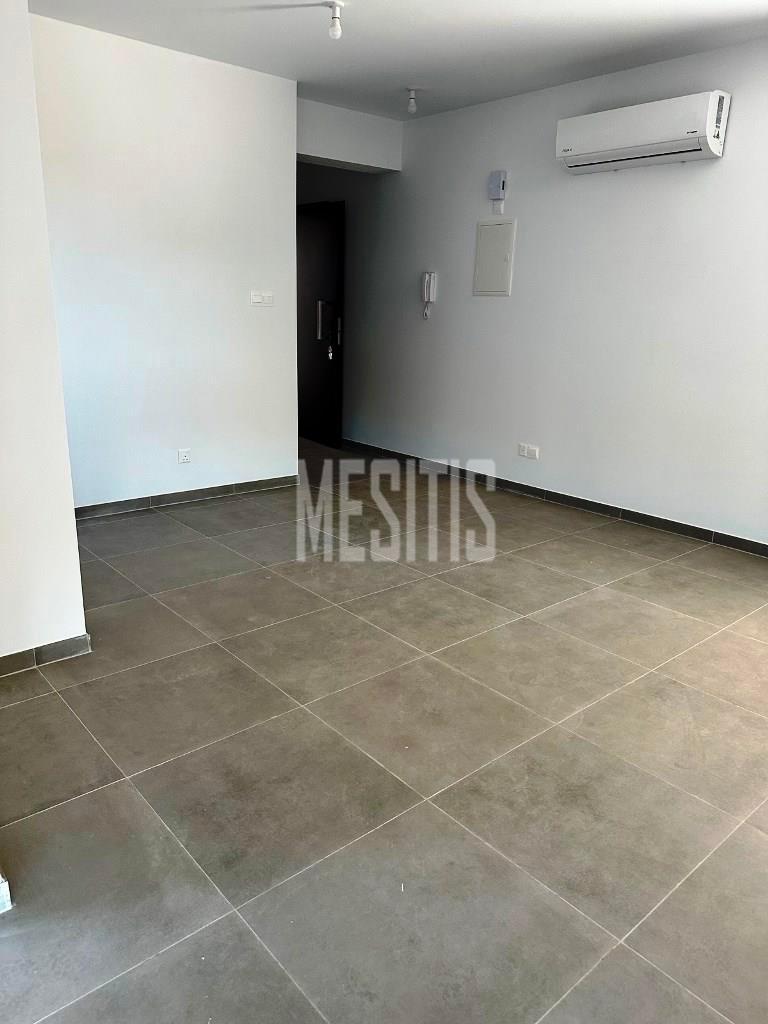 Apartment/Flat For Rent, Lefkosia, Aglantzia (Aglangia): https://incyprusproperty.com/property/mesitis/apartment-flat-for-rent-lefkosia-aglantzia-aglangia-17/ (incyprusproperty.com)