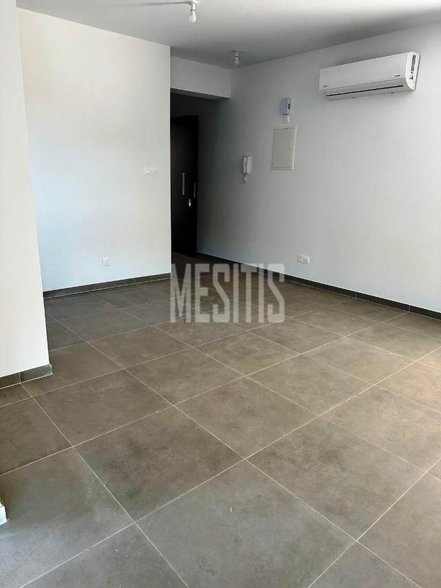 Apartment/Flat For Rent, Lefkosia, Aglantzia (Aglangia): https://incyprusproperty.com/property/mesitis/apartment-flat-for-rent-lefkosia-aglantzia-aglangia-17/ (incyprusproperty.com)