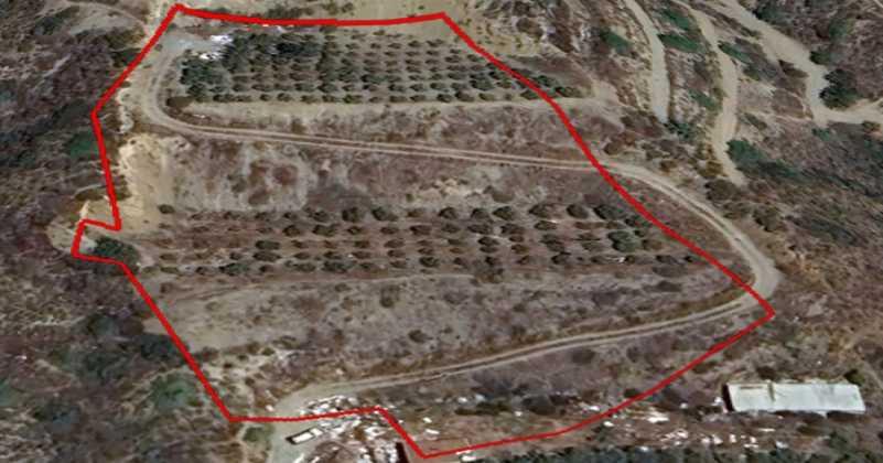 Agricultural land 8027 m²: https://www.bazaraki.com/adv/5792263_agricultural-land-8027-m2 (www.bazaraki.com)