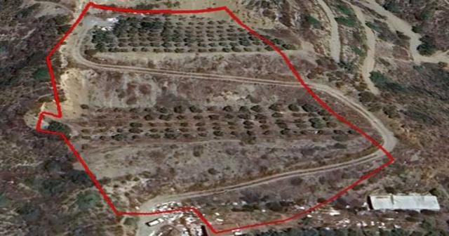 Agricultural land 8027 m²: https://www.bazaraki.com/adv/5792263_agricultural-land-8027-m2 (www.bazaraki.com)