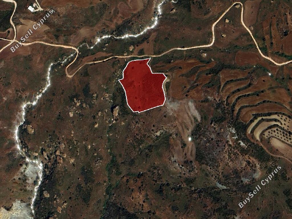 13,713 SQM Agricultural Land for sale in Ineia, Paphos: https://www.buysellcyprus.com/property-for-sale/paphos/ineia/land-for-sale-ineia-paphos-1800858.html (www.buysellcyprus.com)