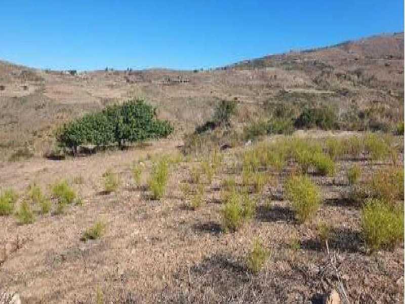 Agricultural land 5017 m²: https://www.bazaraki.com/adv/5796528_agricultural-land-5017-m2 (www.bazaraki.com)