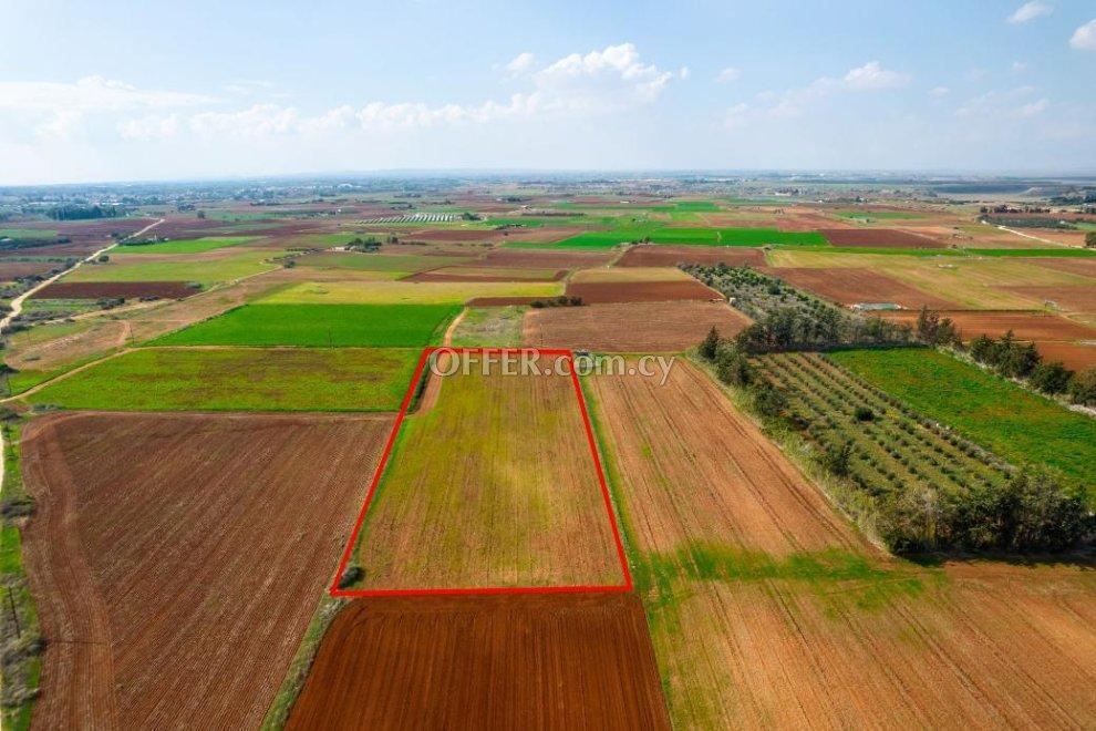 Agricultural field in Frenaros Famagusta: https://www.offer.com.cy/en/agricultural-field-in-frenaros-famagusta/21-709169/ (www.offer.com.cy)