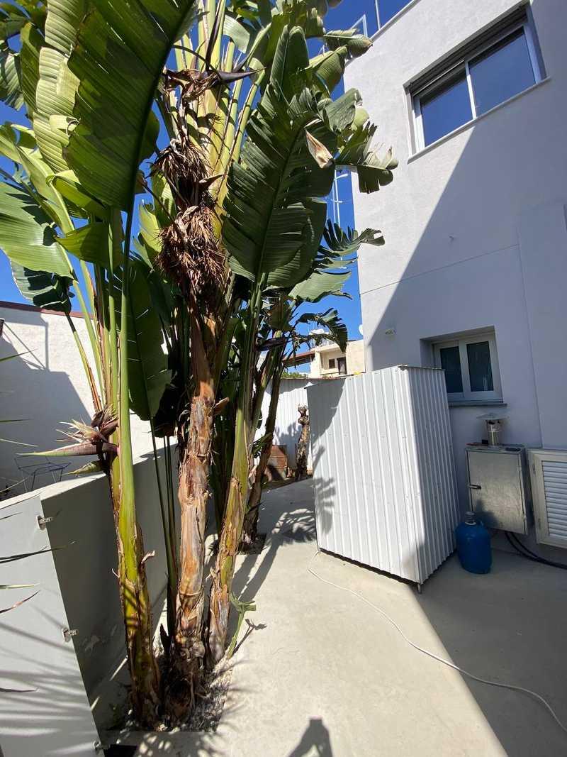 2-bedroom apartment to rent: https://www.bazaraki.com/adv/5798477_2-bedroom-apartment-to-rent (www.bazaraki.com)
