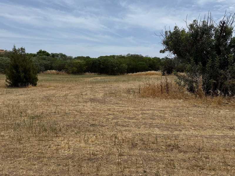 Residential land 2669 m²: https://www.bazaraki.com/adv/5796999_residential-land-2669-m2 (www.bazaraki.com)