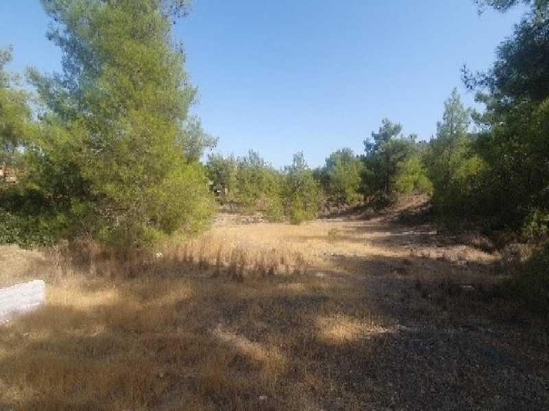 Agricultural land 4348 m²: https://www.bazaraki.com/adv/5798401_agricultural-land-4348-m2 (www.bazaraki.com)