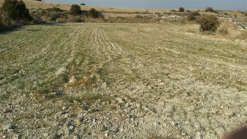 Agricultural land 8299 m²: https://www.bazaraki.com/adv/5793647_agricultural-land-8299-m2 (www.bazaraki.com)