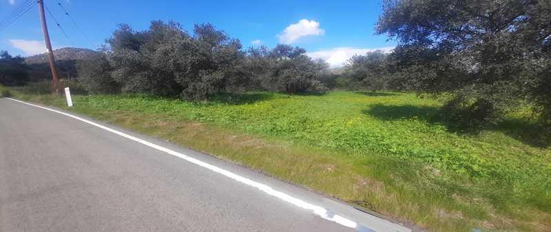 Agricultural land 6021 m²: https://www.bazaraki.com/adv/5795470_agricultural-land-6021-m2 (www.bazaraki.com)