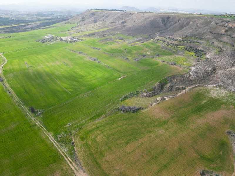 Agricultural land 7358 m²: https://www.bazaraki.com/adv/5787917_agricultural-land-7358-m2 (www.bazaraki.com)