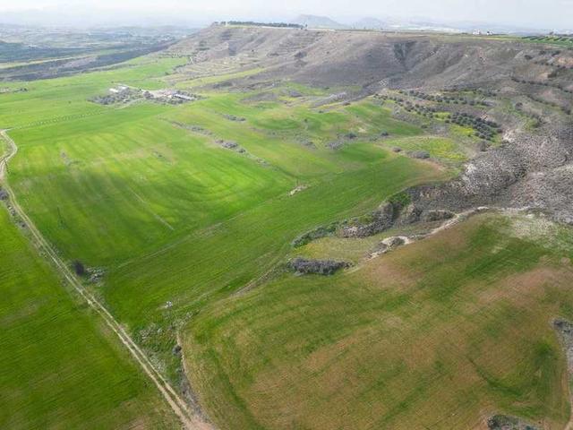 Agricultural land 7358 m²: https://www.bazaraki.com/adv/5787917_agricultural-land-7358-m2 (www.bazaraki.com)