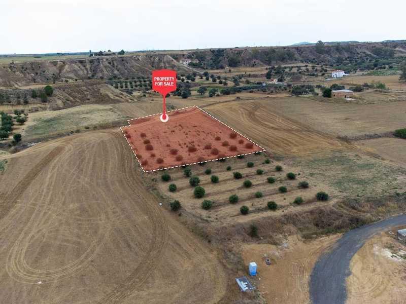 Residential land 3129 m²: https://www.bazaraki.com/adv/5787918_residential-land-3129-m2 (www.bazaraki.com)