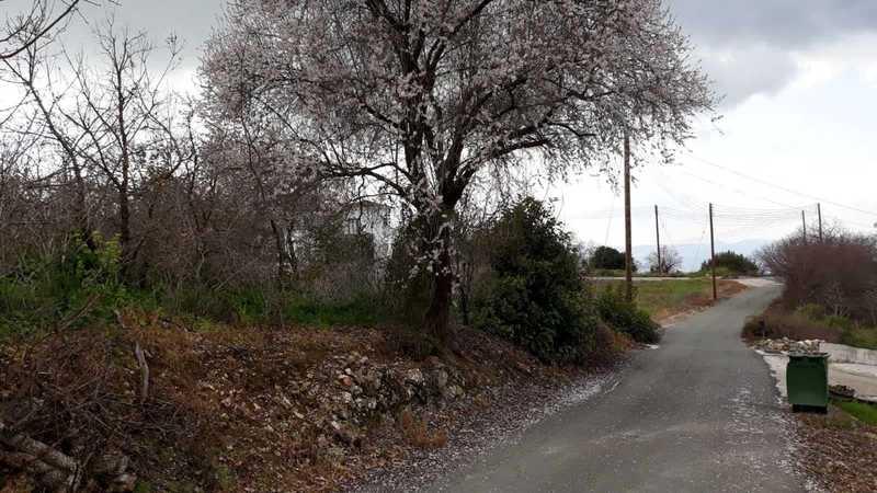 Residential land 4014 m²: https://www.bazaraki.com/adv/5788856_residential-land-4014-m2 (www.bazaraki.com)