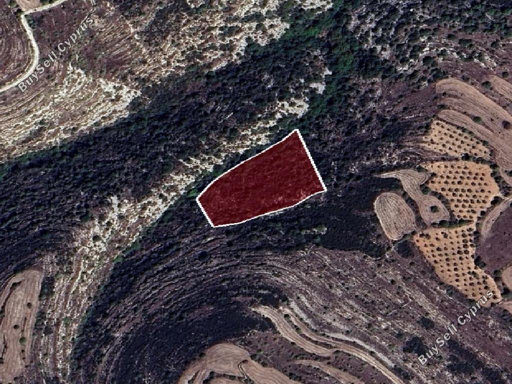 8,016 SQM Agricultural Land for sale in Kritou Tera, Paphos: https://www.buysellcyprus.com/property-for-sale/paphos/kritou-tera/land-for-sale-kritou-tera-paphos-1800884.html (www.buysellcyprus.com)