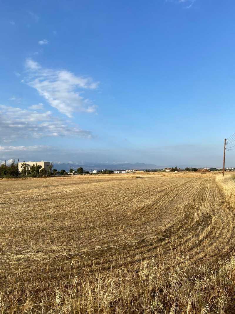Residential land 577 m²: https://www.bazaraki.com/adv/5786350_residential-land-577-m2 (www.bazaraki.com)