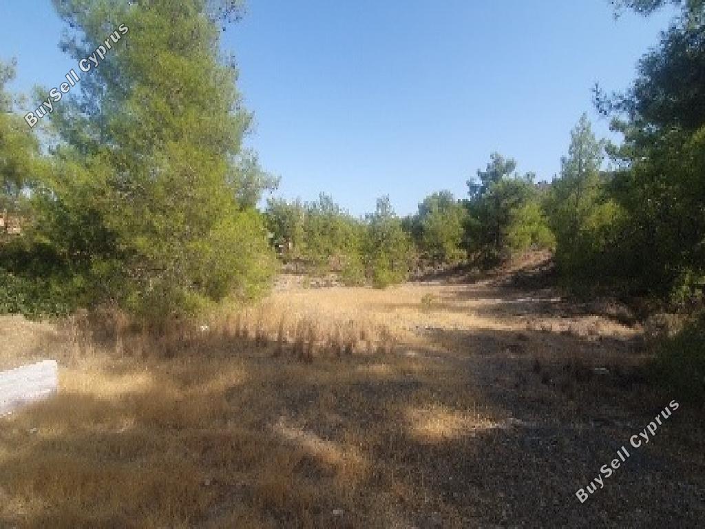 4,348 SQM Land for sale in Psevdas, Larnaca: https://www.buysellcyprus.com/property-for-sale/larnaca/psevdas/land-for-sale-psevdas-larnaca-1800857.html (www.buysellcyprus.com)