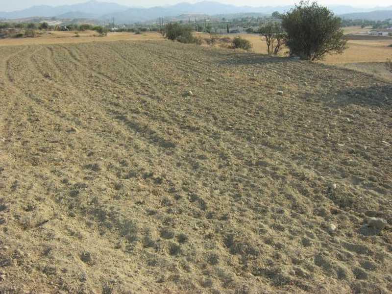 Residential land 1665 m²: https://www.bazaraki.com/adv/5794931_residential-land-1665-m2 (www.bazaraki.com)
