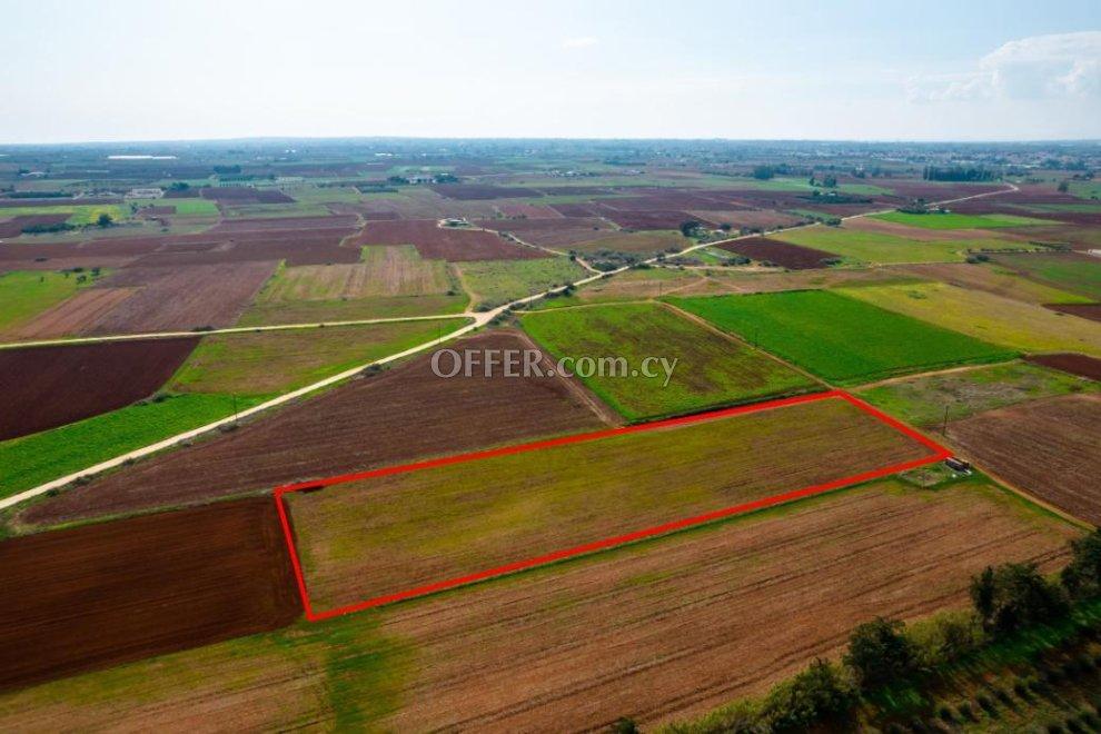Agricultural field in Frenaros Famagusta: https://www.offer.com.cy/en/agricultural-field-in-frenaros-famagusta/21-709169/ (www.offer.com.cy)