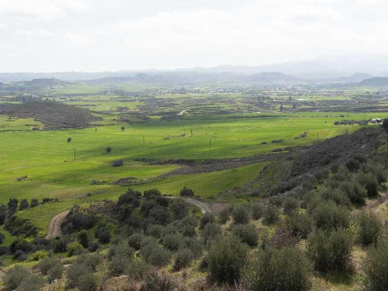 Agricultural land 7358 m²: https://www.bazaraki.com/adv/5787917_agricultural-land-7358-m2 (www.bazaraki.com)