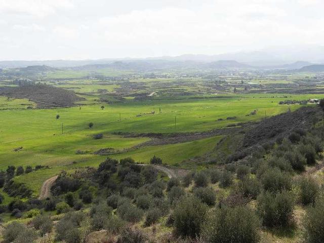 Agricultural land 7358 m²: https://www.bazaraki.com/adv/5787917_agricultural-land-7358-m2 (www.bazaraki.com)