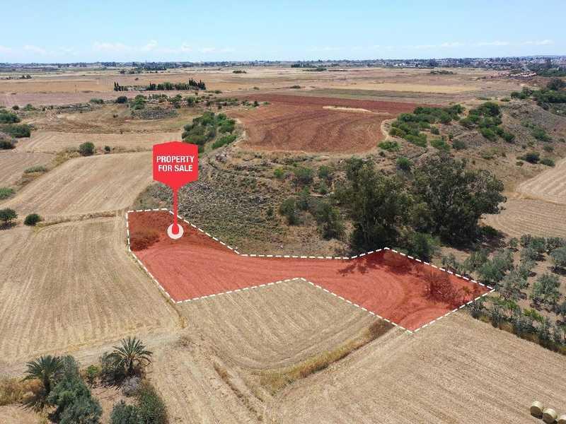 Agricultural land 1645 m²: https://www.bazaraki.com/adv/5757041_agricultural-land-1645-m2 (www.bazaraki.com)