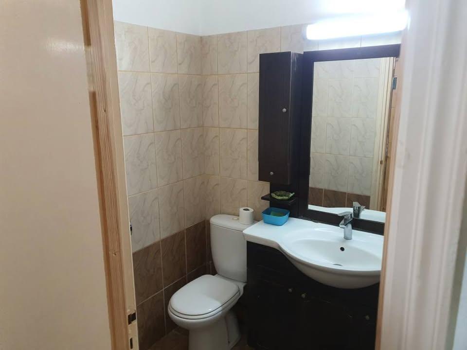 Perfect option for your holidays: https://www.facebook.com/marketplace/item/9803237959754921 (www.facebook.com)