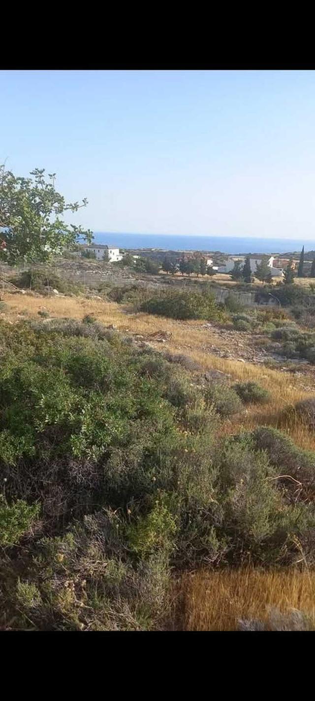 Residential land 2000 m²: https://www.bazaraki.com/adv/5788492_residential-land-2000-m2 (www.bazaraki.com)
