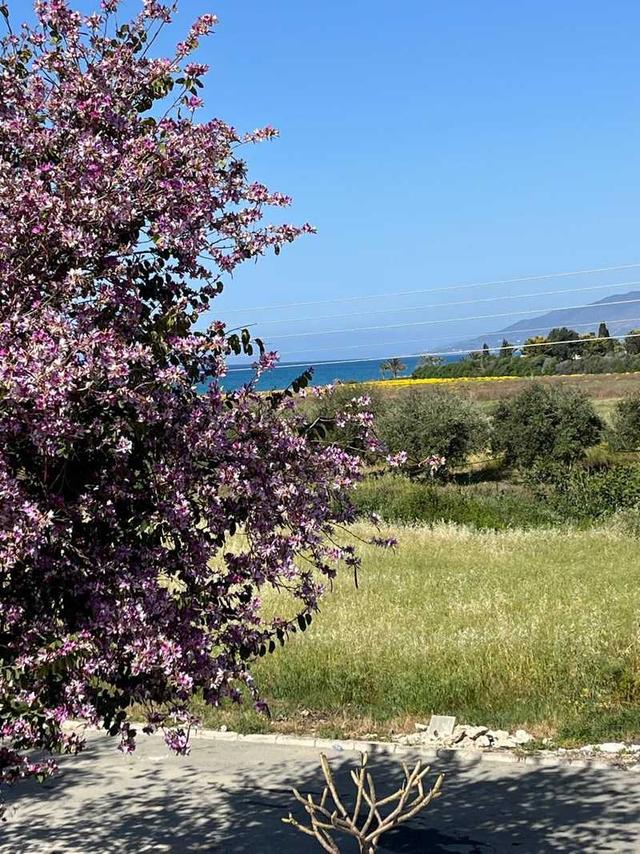 2-bedroom maisonette to rent: https://www.bazaraki.com/adv/5787039_2-bedroom-maisonette-to-rent (www.bazaraki.com)