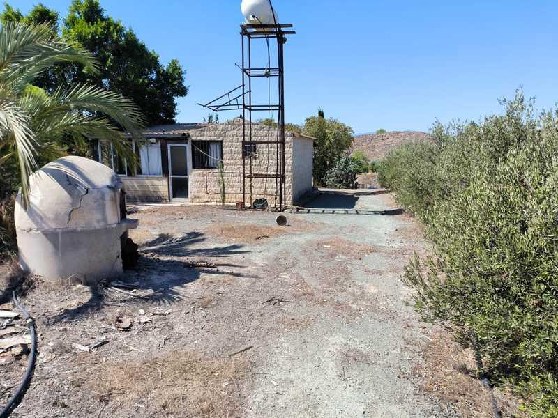 Agricultural land 12000 m²: https://www.bazaraki.com/adv/5795465_agricultural-land-12000-m2 (www.bazaraki.com)