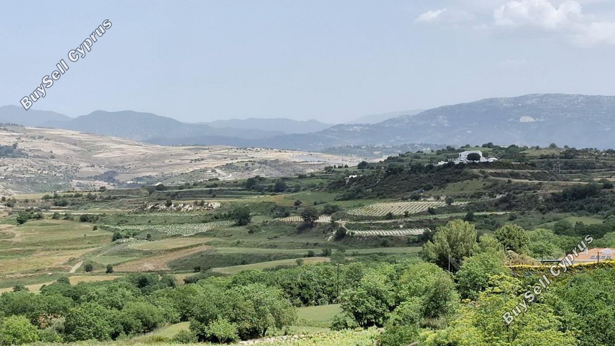1,050 SQM Residential Land for sale in Stroumbi, Paphos: https://www.buysellcyprus.com/property-for-sale/paphos/stroumbi/land-for-sale-stroumbi-paphos-1797002.html (www.buysellcyprus.com)