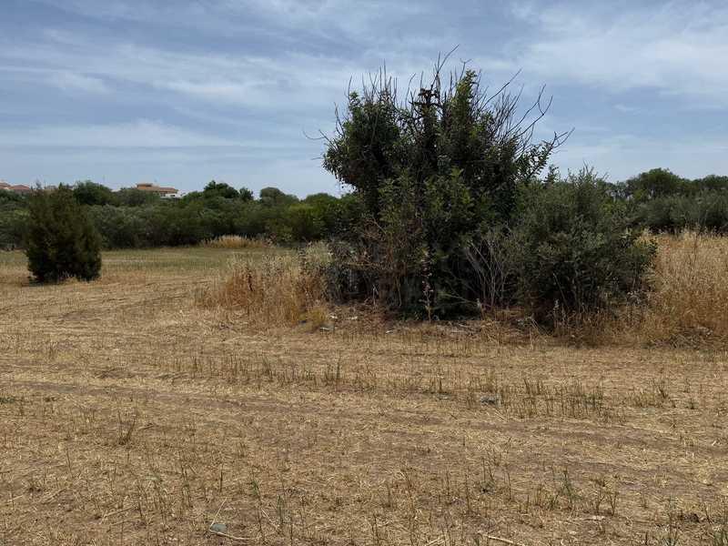 Residential land 2669 m²: https://www.bazaraki.com/adv/5796999_residential-land-2669-m2 (www.bazaraki.com)