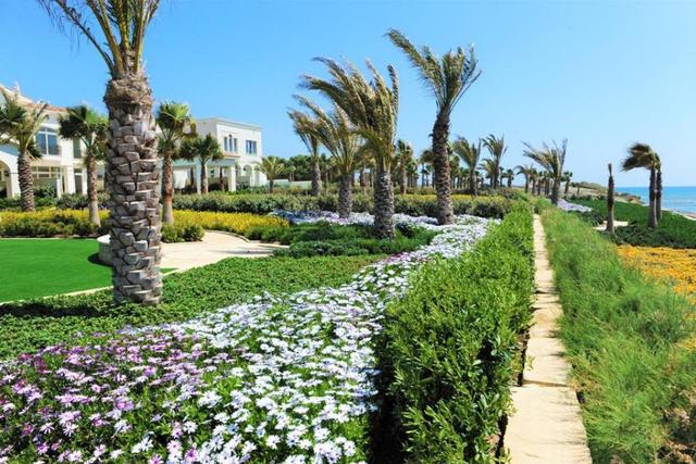New commercial in Larnaca № 153374: https://dom.com.cy/en/catalog/sale/153374/ (dom.com.cy)