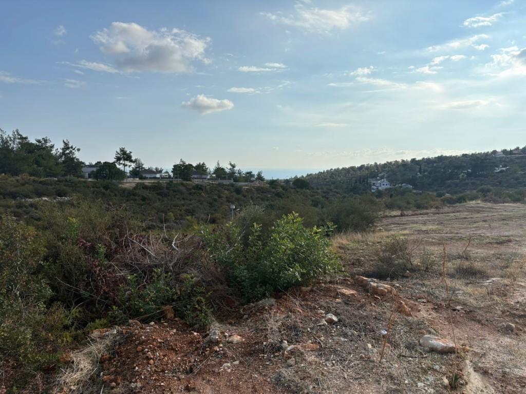 3 Bedroom Bungalow For Sale: https://www.zyprus.com/property/39339/3-bedrooms-house-bungalow-in-souni-limassol (www.zyprus.com)