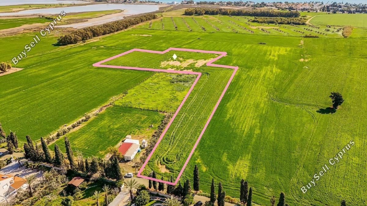 18,800 SQM Agricultural Land for sale in Meneou, Larnaca: https://www.buysellcyprus.com/property-for-sale/larnaca/meneou/land-for-sale-meneou-larnaca-1796735.html (www.buysellcyprus.com)