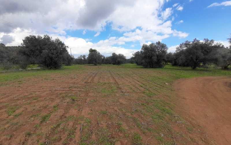 Agricultural land 6021 m²: https://www.bazaraki.com/adv/5793851_agricultural-land-6021-m2 (www.bazaraki.com)