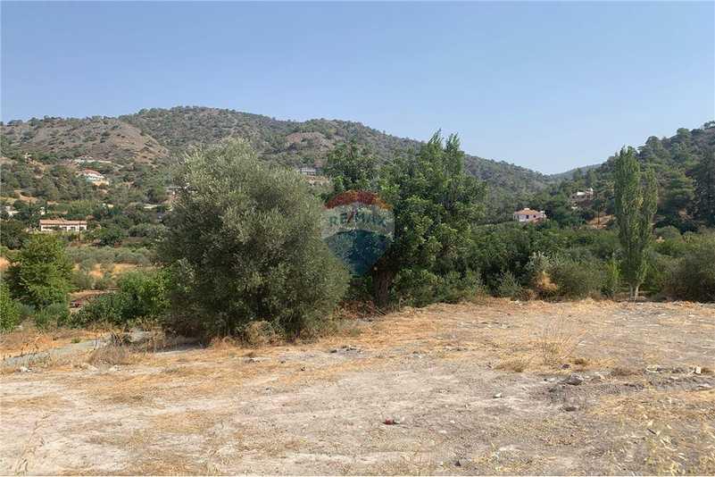 Residential land 1339 m²: https://www.bazaraki.com/adv/5798159_residential-land-1339-m2 (www.bazaraki.com)