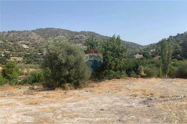 Residential land 1339 m²: https://www.bazaraki.com/adv/5798159_residential-land-1339-m2 (www.bazaraki.com)