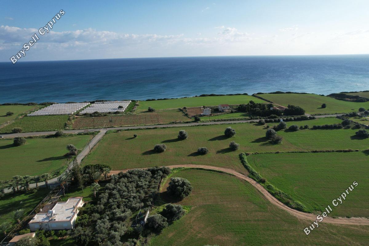 12,320 SQM Residential Land for sale in Agios Theodoros Larnacas, Larnaca: https://www.buysellcyprus.com/property-for-sale/larnaca/agios-theodoros-larnacas/land-for-sale-agios-theodoros-larnacas-larnaca-1095870.html (www.buysellcyprus.com)