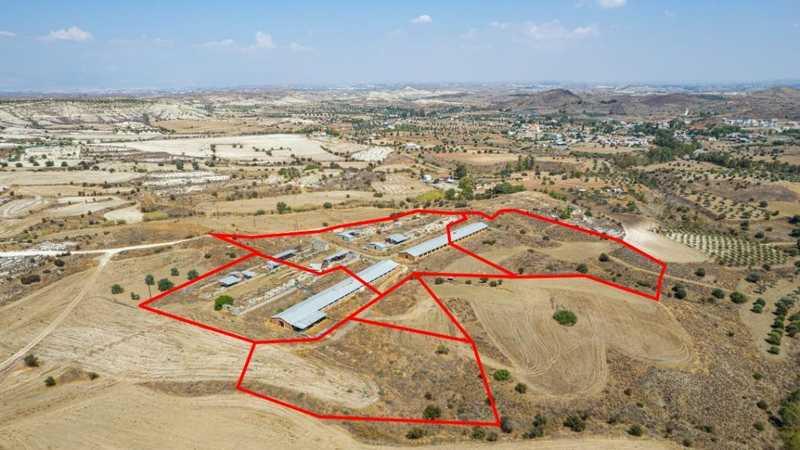Agricultural land 37460 m²: https://www.bazaraki.com/adv/5791282_agricultural-land-37460-m2 (www.bazaraki.com)