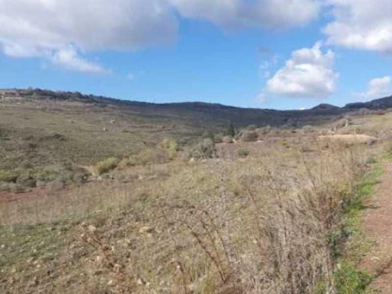 Agricultural land 7498 m²: https://www.bazaraki.com/adv/5796529_agricultural-land-7498-m2 (www.bazaraki.com)